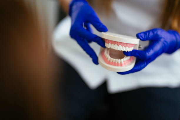 Professional Dental Services in Fate, TX